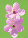 Cherry Blossoms, 8x10 Inch Print