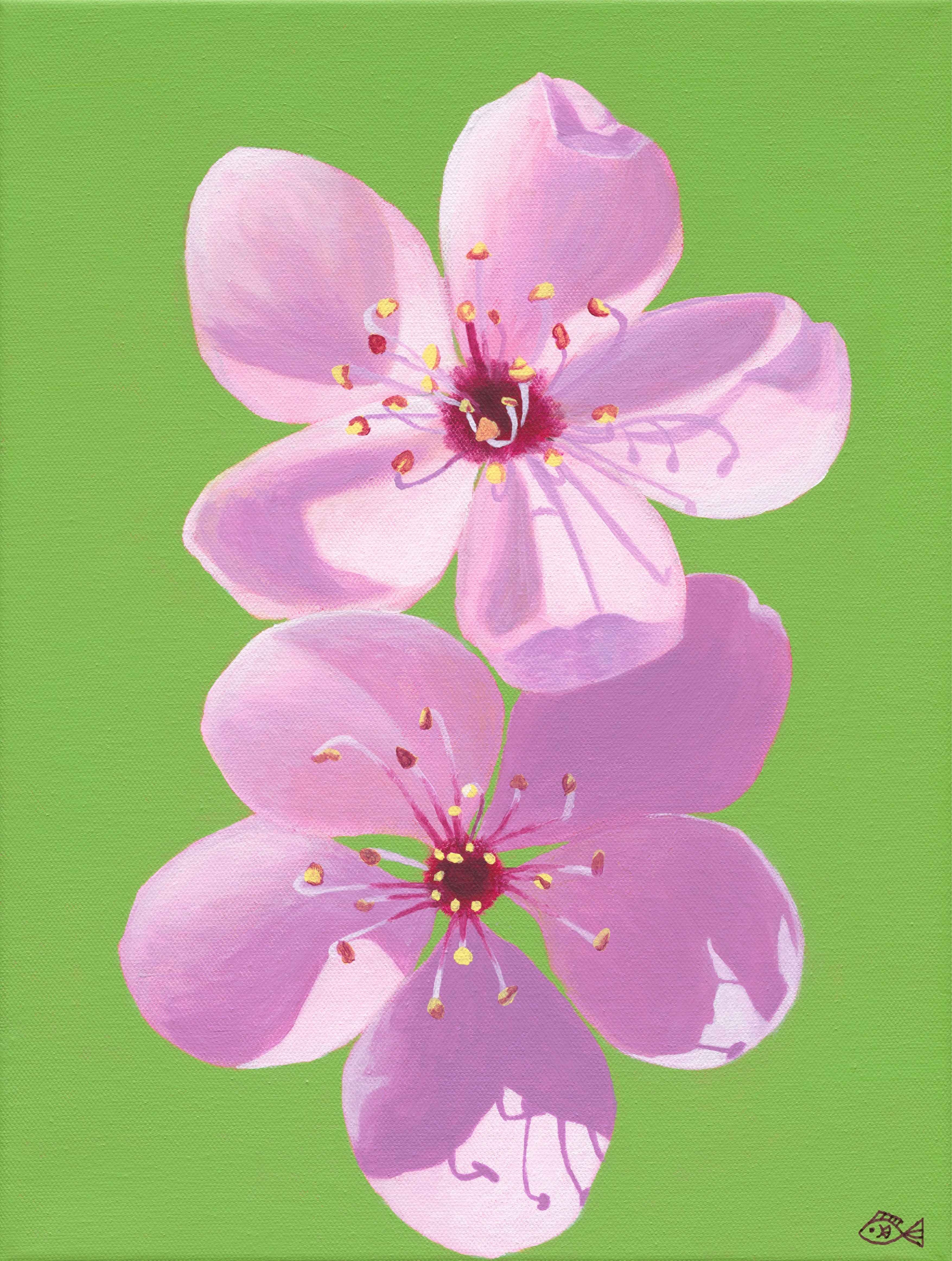 Cherry Blossoms, 8x10 Inch Print