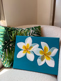 Plumeria, 11x14 Original