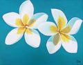 Plumeria, 8x10 Inch Print