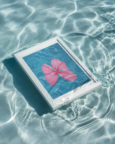Floating Hibiscus, 8x10 Inch Print